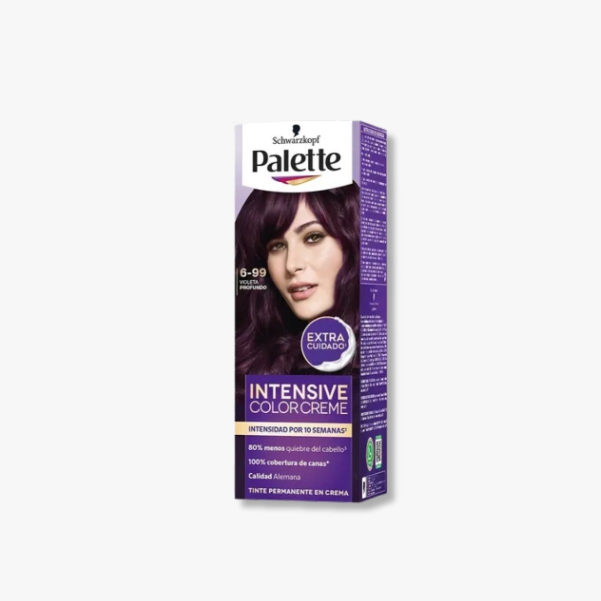 VIOLETA PROFUNDO 6-99 MINI KIT INTENSIVE COLOR PALETTE